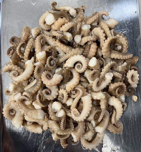 Wholesale formalin fixed wet - wholesale,