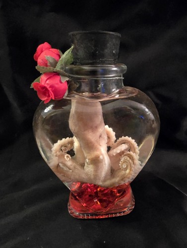 Octopus heart jar - with, roses