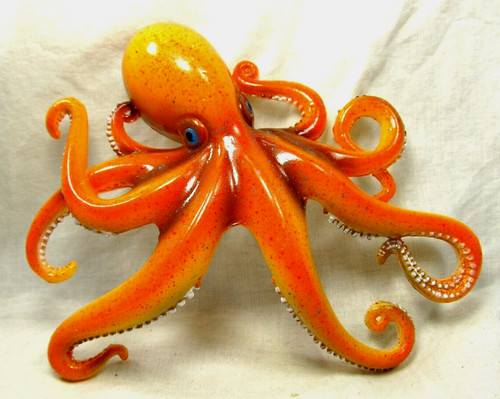 Octopus sea life wall - , art